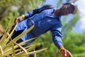 Zanzibar : Cours de cuisine traditionnelle à Zanzibar avec visite des épices
