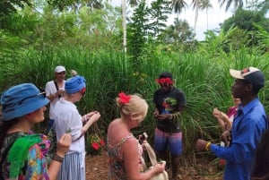 Zanzibar : Cours de cuisine traditionnelle à Zanzibar avec visite des épices