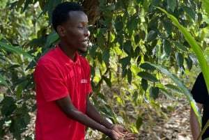 Zanzibar : Cours de cuisine traditionnelle à Zanzibar avec visite des épices