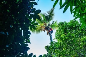 Zanzibar : Cours de cuisine traditionnelle à Zanzibar avec visite des épices