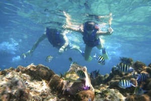 Zanzibar : Nagez avec les tortues marines à l'aquarium de Baraka, à Nungwi