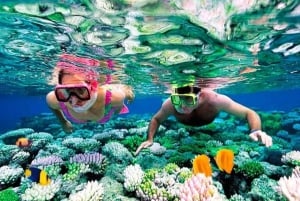 Zanzibar : Nagez avec les tortues marines à l'aquarium de Baraka, à Nungwi