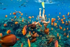 Zanzibar: ripristino dei coralli e snorkeling