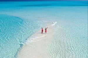 ZANZIBAR : Journée au paradis sur le banc de sable de Nakupenda + Dîner sur la plage