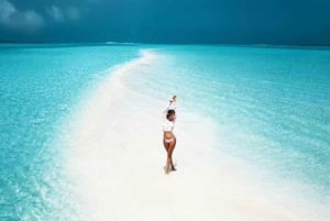 ZANZIBAR : Journée au paradis sur le banc de sable de Nakupenda + Dîner sur la plage