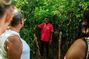 Zanzibar: Dagstur i Jozani-skogen, krydderfarm, natur og smak