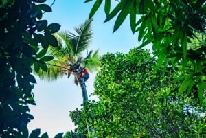 Zanzibar: Dagstur i Jozani-skogen, krydderfarm, natur og smak