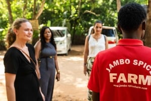 Zanzibar: Dagstur i Jozani-skogen, krydderfarm, natur og smak