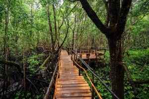 Zanzibar: Dagstur i Jozani-skogen, krydderfarm, natur og smak