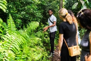 Zanzibar: Dagstur i Jozani-skogen, krydderfarm, natur og smak