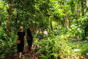 Zanzibar: Dagstur i Jozani-skogen, krydderfarm, natur og smak