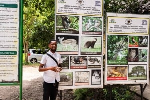 Zanzibar: Dagstur i Jozani-skogen, krydderfarm, natur og smak