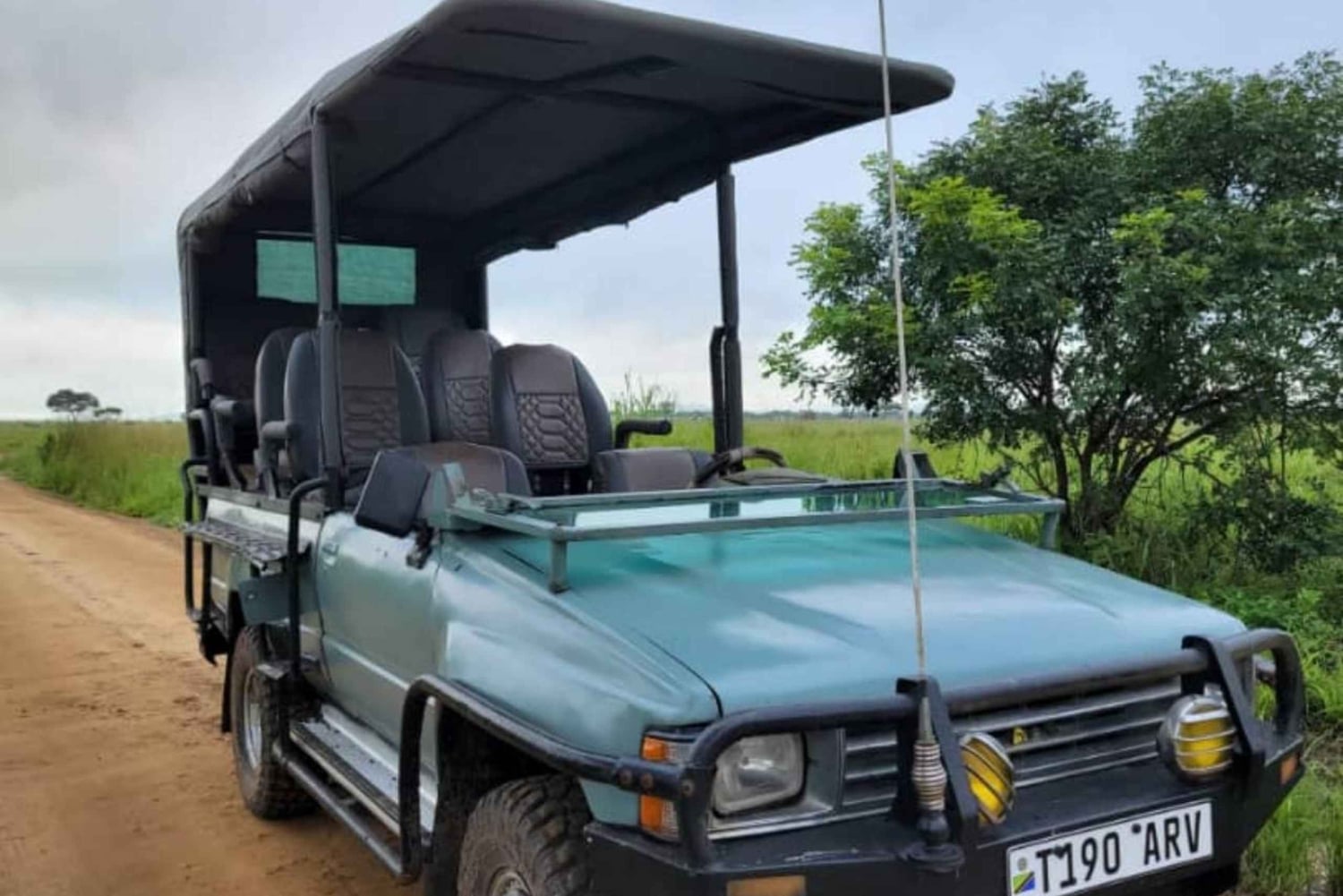 Zanzibar: safari di un giorno al Parco Nazionale di Mikumi con voli