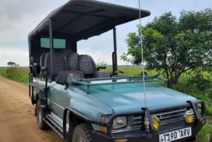 Zanzíbar: safari de un día en el Parque Nacional de Mikumi con vuelos