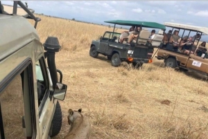 Zanzibar: safari di un giorno al Parco Nazionale di Mikumi con voli