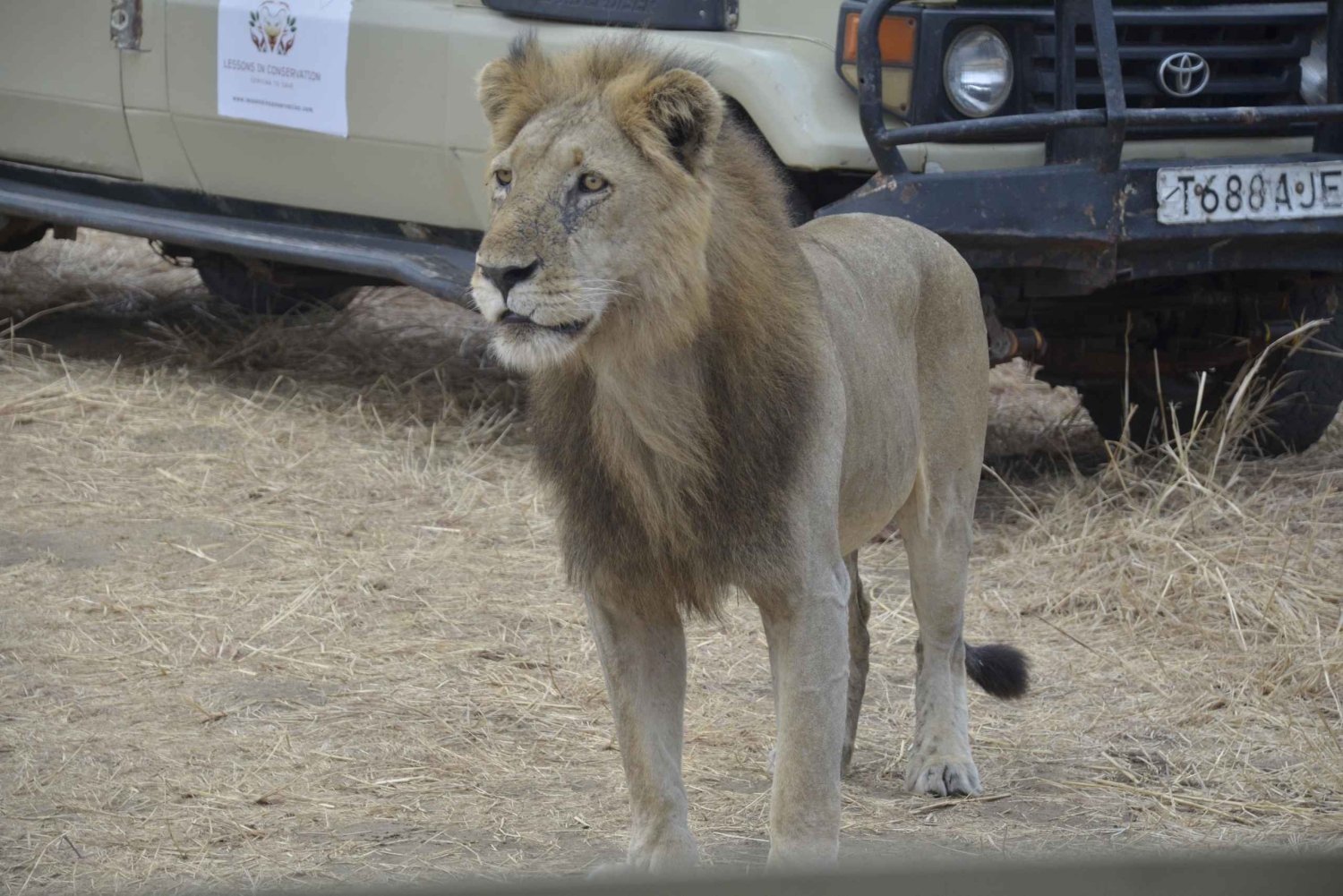 Excursion d'une journée à Zanzibar dans le parc national de Mikumi