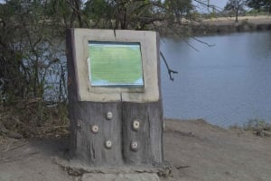 Excursion d'une journée à Zanzibar dans le parc national de Mikumi