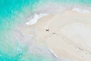 Zanzíbar: Descubre un día completo de snorkel + barbacoa en el banco de arena