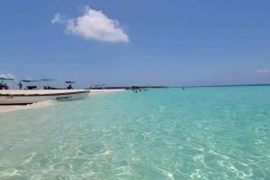 Zanzíbar: Descubre un día completo de snorkel + barbacoa en el banco de arena