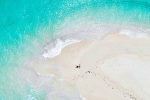 Zanzibar: Scoprire lo snorkeling di un giorno intero + barbecue al banco di sabbia