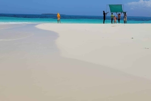 Zanzibar: Scoprire lo snorkeling di un giorno intero + barbecue al banco di sabbia