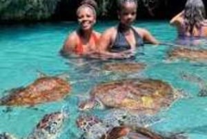Zanzibar: Upptäck Salaam-grottan och simma med vänliga sköldpaddor