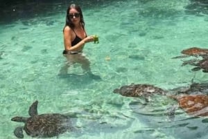 Zanzibar: Upptäck Salaam-grottan och simma med vänliga sköldpaddor