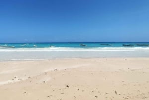 Zanzibar: scopri l'esperienza di immersione subacquea