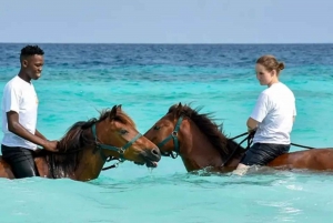 Zanzibar: Oppdag skjønnheten ved å ri på hesteryggen