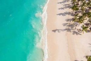 Zanzibar: Oppdag skjønnheten ved å ri på hesteryggen