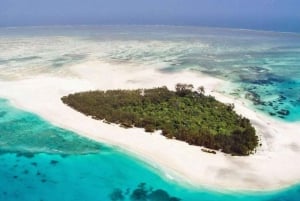 Île de Mnemba : nage avec les dauphins et plongée avec tuba, avec option déjeuner