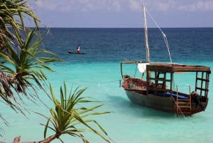 Île de Mnemba : nage avec les dauphins et plongée avec tuba, avec option déjeuner