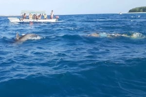 Île de Mnemba : nage avec les dauphins et plongée avec tuba, avec option déjeuner