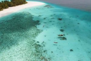 Занзибар: плавание с дельфинами и сноркелинг на коралловых рифах — с уважением