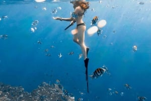 Занзибар: плавание с дельфинами и сноркелинг на коралловых рифах — с уважением