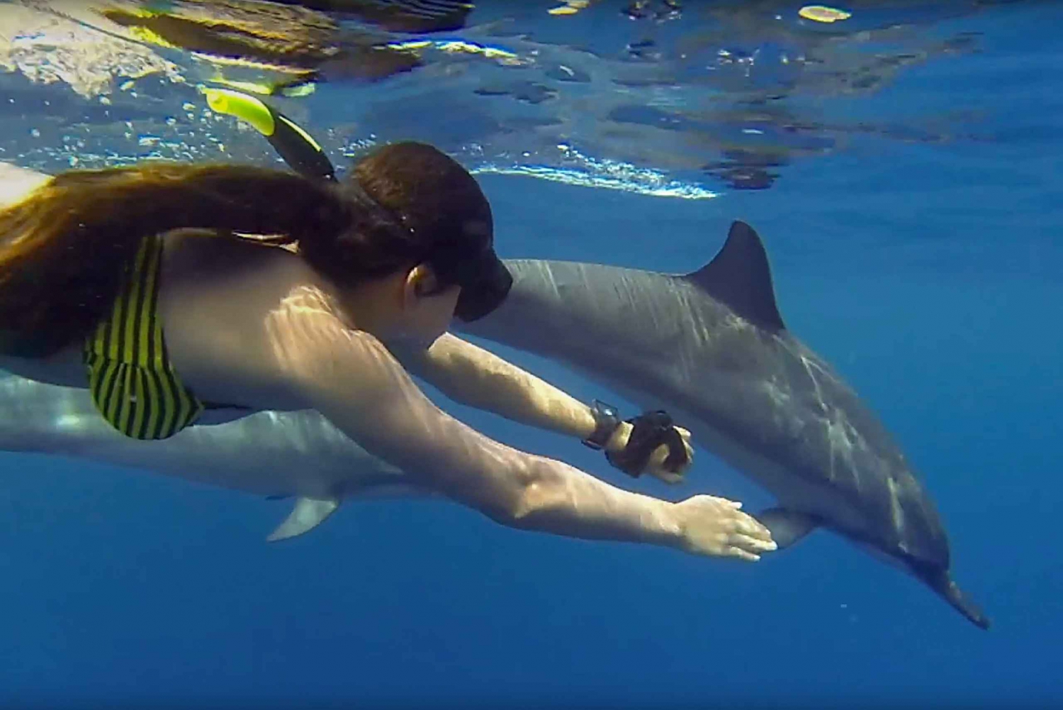 Zanzibar: Dolphin Tour And Snorkeling at Mnemba Island.