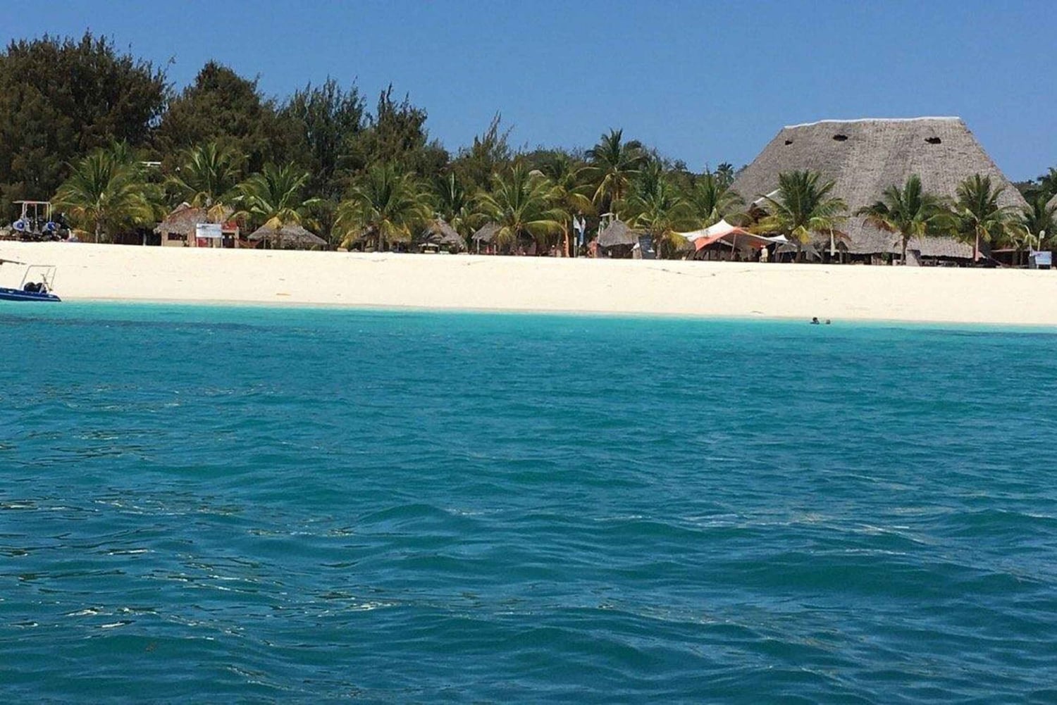 Dolfijnentour Zanzibar, Jozani Forest, Paje Beach en Kuza-grot
