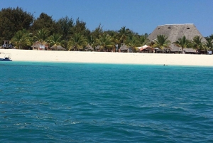 Dolfijnentour Zanzibar, Jozani Forest, Paje Beach en Kuza-grot