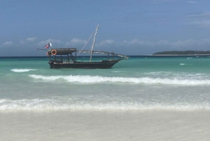 Dolfijnentour Zanzibar, Jozani Forest, Paje Beach en Kuza-grot