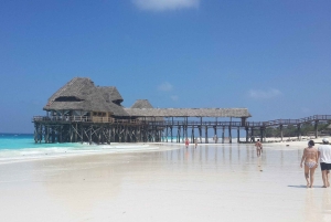 Dolfijnentour Zanzibar, Jozani Forest, Paje Beach en Kuza-grot