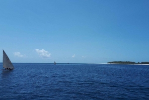 Dolfijnentour Zanzibar, Jozani Forest, Paje Beach en Kuza-grot