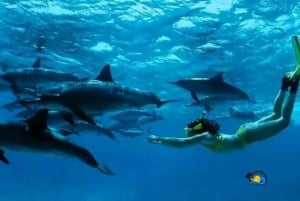 Zanzibar: Mnemba-delfintur med snorkling och sandbank