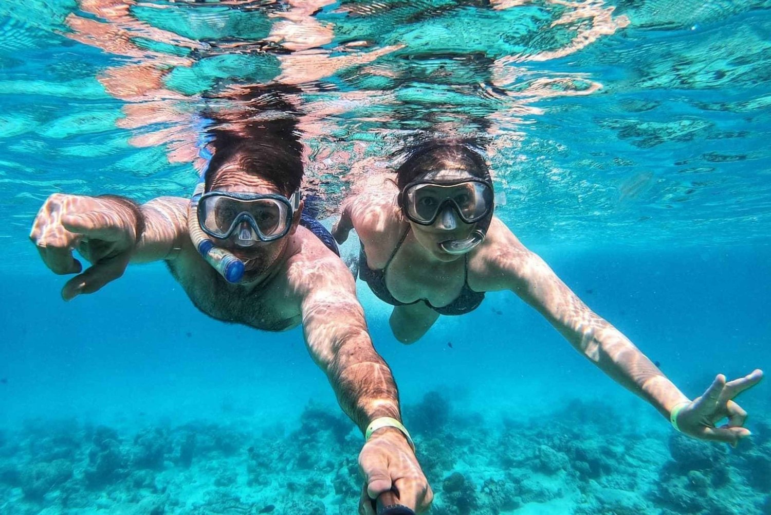 Zanzibar delfines+ snokling en mnemba con tortugas nadando