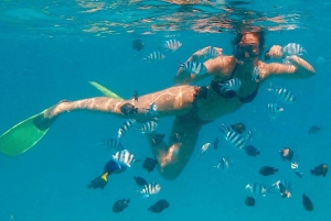 Zanzibar-delfiner + snokling ved mnemba med svømmende kalkuner