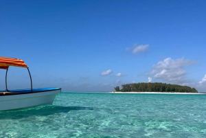 Zanzibar-delfiner + snokling ved mnemba med svømmende kalkuner