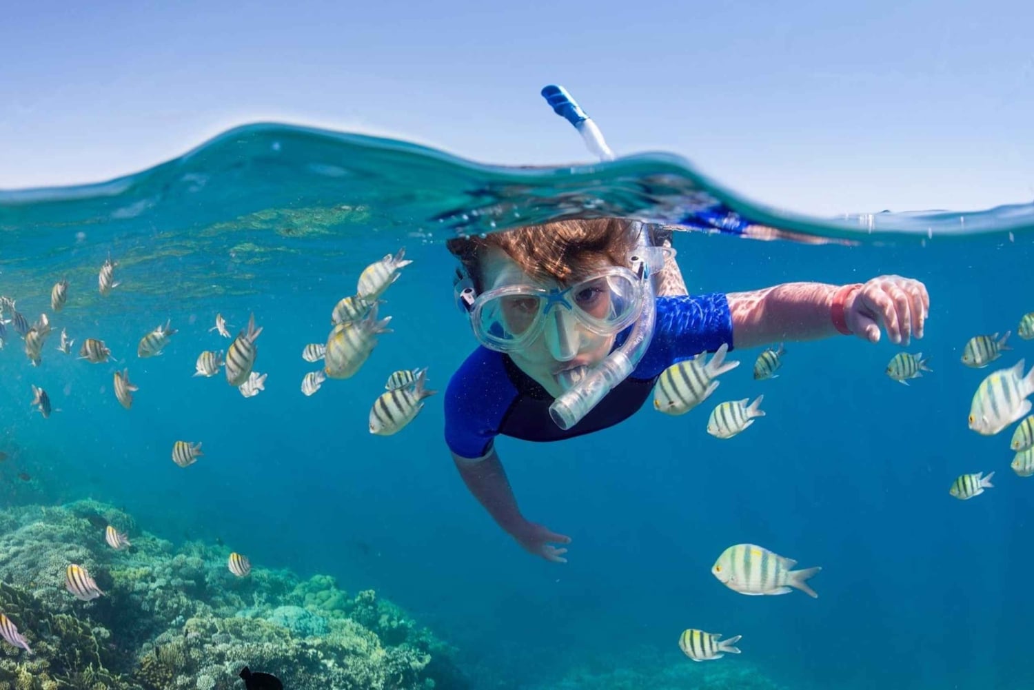 Zanzibar: Delfiinit ja snorklausparatiisi Mnemban atollilla