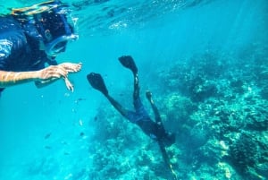 Zanzibar: Delfiinit ja snorklausparatiisi Mnemban atollilla