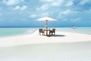 Zanzibar: Engagement Surprise or Marriage Proposal
