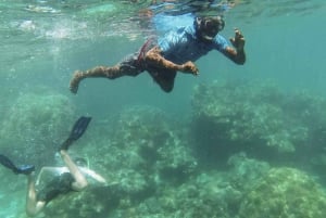 Zanzibar: Etisk delfintur med øy -piknik