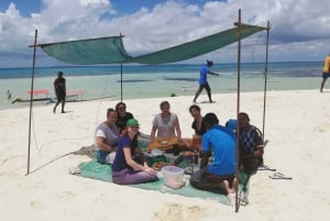 Zanzibar: Etisk delfintur med ø -picnic